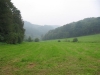 ardennen-123