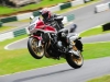 IMG-20131214-WA0013